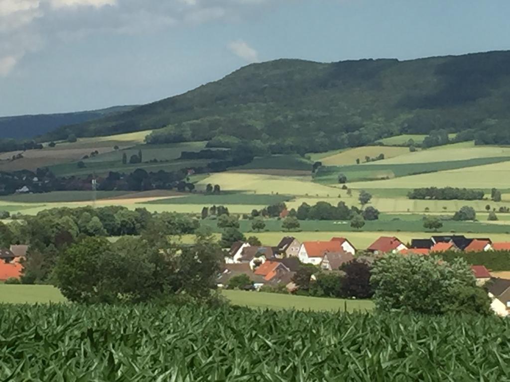 Gaestehaus White Horse Diedersen Coppenbrügge Dış mekan fotoğraf